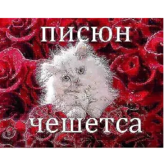 😞 emoji аята нагни меня Telegram sticker 16 of 82