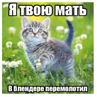 😉 emoji аята нагни меня Telegram sticker 12 of 82