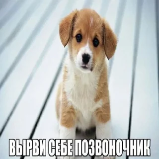 💋 emoji саситемне Telegram sticker 4 of 44