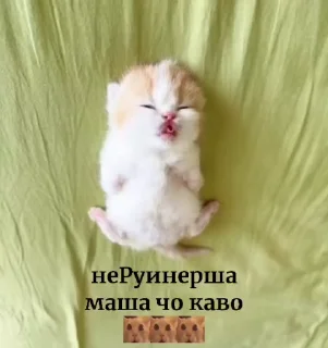 😴 emoji хуйня старого боба ➡️ @Ctikerubot Telegram sticker 23 of 31
