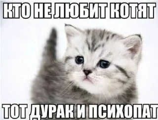 😨 emoji марточка старалась Telegram sticker 3 of 74