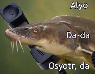 🌟 emoji ебучие глаза Telegram sticker 5 of 114