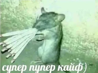 🌟 emoji ебучие глаза Telegram sticker 10 of 114