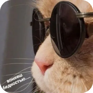 🥽 emoji Милтон Telegram sticker 22 of 30