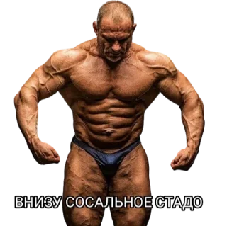 👇 emoji ФЖБР Telegram sticker 9 of 30