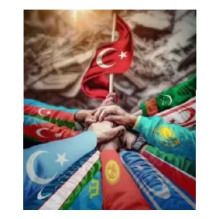 😄 emoji TÜRKOĞLU🇦🇿🇹🇷🇺🇿🇹🇲🇰🇿🇰🇬 Telegram sticker 8 of 17