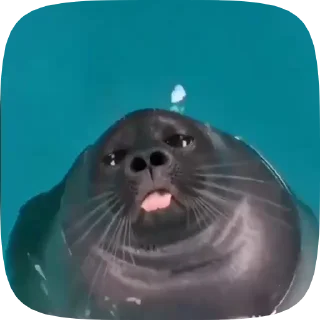 😛 emoji Лучьше стикеры - @lovesticers Telegram sticker 9 of 46