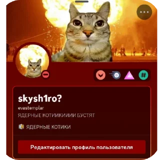 👍 emoji ЯДЕРНЫЕ КОТИКИ БУСТЯТ • @wwert1xx Telegram sticker 4 of 12