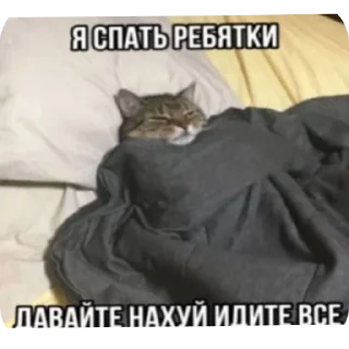 🐱 emoji Ещкере Telegram sticker 10 of 24
