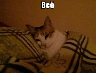 😑 emoji Стики 0774 из @Anonymnyi_chat_bot Telegram sticker 13 of 40