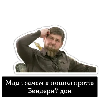 😐 emoji Кадирка Telegram sticker 12 of 24