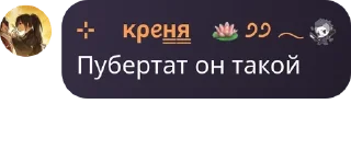🧔 emoji чатик хейтеров pack by @QuotLyBot Telegram sticker 6 of 120