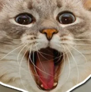 🌟 emoji Кубические котончики Telegram sticker 15 of 78