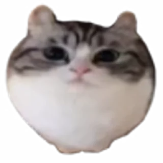 🤩 emoji Камару ➡️ @Ctikerubot Telegram sticker 4 of 21