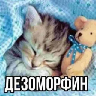 😴 emoji @vashakasha13 Telegram sticker 23 of 58