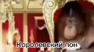 👑 emoji Больше стикеров 👉🏻 @stickertg4 Telegram sticker 23 of 49