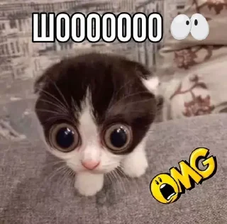 🫢 emoji Больше стиков тут: @stikery4 Telegram sticker 14 of 84