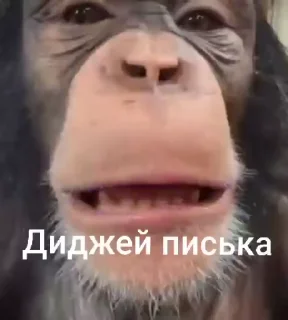 👹 emoji Эщкере ➡️ @Ctikerubot Telegram sticker 18 of 37