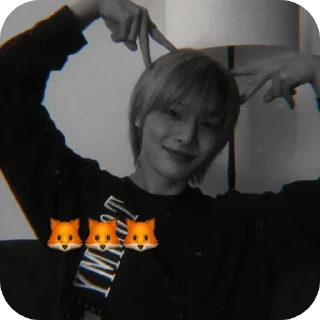 🦊 emoji JEONGIN | фото из "архив по чонину" | @B13AN7 Telegram sticker 22 of 40
