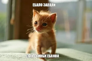 🤬 emoji Больше стикеров: @sticerru Telegram sticker 22 of 69