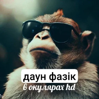 🌟 emoji Фазік соси хуяку pack by @QuotLyBot Telegram sticker 4 of 52