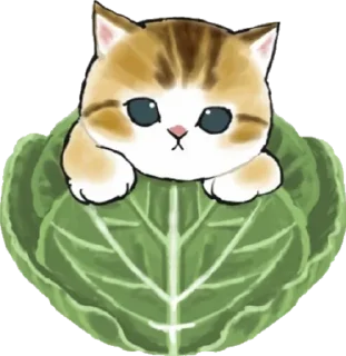🥬 emoji Больше стиков тут: @stikery4 Telegram sticker 15 of 120