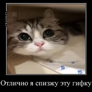 👮‍♂ emoji Больше стиков тут: @stikery4 Telegram sticker 8 of 50