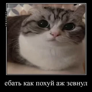 🥱 emoji Больше стиков тут: @stikery4 Telegram sticker 15 of 50