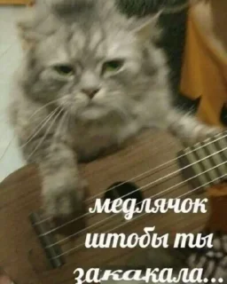 😢 emoji Больше стиков тут: @stikery4 Telegram sticker 24 of 113
