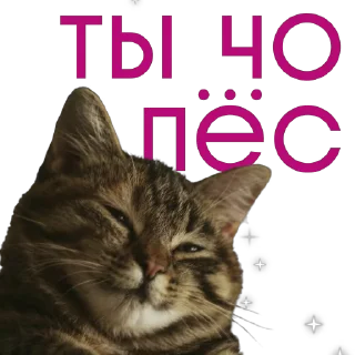 🖕 emoji Не заходи сюда👉🏻 @stikiin Telegram sticker 21 of 45