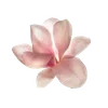 🦷 emoji 𓂃 ᨳ 𝅄 🪡🪡  @scorrall [[🍴] ..  𐙚  𓂃 ➡️ @Ctikerubot Telegram sticker 7 of 63