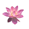 🦷 emoji 𓂃 ᨳ 𝅄 🪡🪡  @scorrall [[🍴] ..  𐙚  𓂃 ➡️ @Ctikerubot Telegram sticker 10 of 63