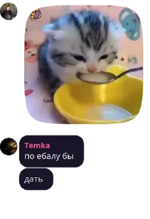 🇨🇳 emoji Никитушка чат Telegram sticker 10 of 84