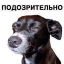 🐕 emoji Набор НВП — @stckrRobot Telegram sticker 15 of 120