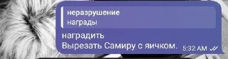 Sticker from самира жгет ➡️ @Ctikerubot