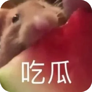🍉 emoji 么马死 Telegram sticker 24 of 72