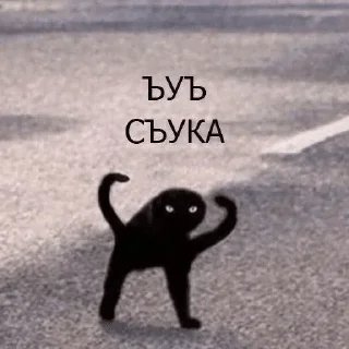 😾 emoji Ooga-chaka  — @stckrRobot Telegram sticker 9 of 106