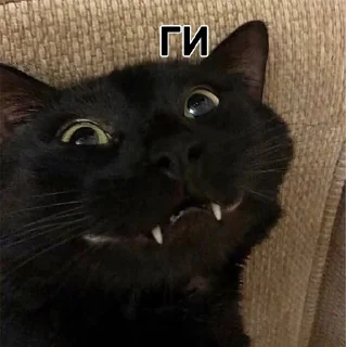 😁 emoji Два кольори Telegram sticker 13 of 50