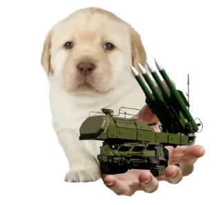 Sticker from ¿Quieres Russia?