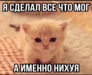 🌟 emoji Пак для долбаебов Telegram sticker 19 of 45