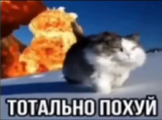🌟 emoji Пак для долбаебов Telegram sticker 24 of 45