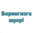👍 emoji @MuslimKundaligi учун махсус Telegram sticker 22 of 30