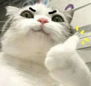 😼 emoji чисто для себя Telegram sticker 17 of 87