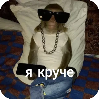 😎 emoji Ты Не Шкибиди! @gif_makaka Telegram sticker 9 of 43