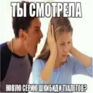 Sticker from ШКИБИДИ ТУЛАЕТЫ