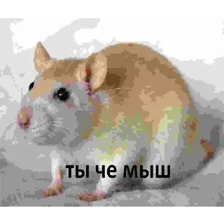 ❤️ emoji 💕Стики тут: @sekstick Telegram sticker 18 of 89