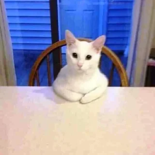 😐 emoji BAN Telegram sticker 10 of 48