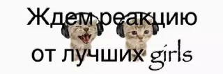 😽 emoji Дешевый впн👉🏻 @cebvpn_bot Telegram sticker 17 of 32