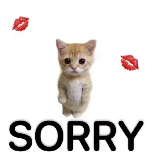 💋 emoji Дешевый впн👉🏻 @cebvpn_bot Telegram sticker 15 of 32