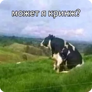 🤨 emoji Мемчанский Telegram sticker 18 of 75